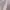 Ted Baker Luxury Sweater Wanita white photo 4