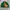 Vintage Y2K Harrington jacket Pria green photo 2