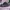 Reebok Sportswear Sneakers Pria black photo 1