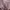 Japanese brand Lolita Coquette Blouse Wanita burgundy pink photo 4