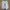 New Balance Streetwear Sportswear Sneakers Wanita white photo 5