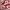 Adidas Casual Sneakers Wanita white red photo 2