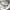 Sergio Tacchini Vintage Sportswear Tracksuit Pria white photo 7