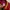 Sportswear Bomber jacket Pria red photo 5