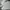 Sportswear Polo shirt Pria gray photo 3