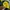 Umbro Sportswear Windbreaker Pria blue yellow photo 6