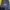Umbro Sportswear Windbreaker Pria blue yellow photo 5
