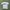 Ellesse Sportswear Jersey Pria White