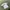 Ellesse Sportswear Jersey Pria white photo 2