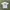 Vintage Skater T-shirt Pria white photo 1