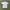 Vintage Skater T-shirt Pria white photo 4