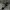 VANS Streetwear Skater Sneakers Pria white black photo 3