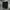 Asics Sportswear Short Pria black photo 1
