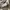 Adidas Vintage Y2K Sweatshirt Pria gray photo 4