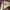 Adidas Vintage Y2K Sweatshirt Pria gray photo 1