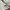 Uniqlo Streetwear Casual Casual shirt Pria multicolor photo 6