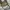 Coach Vintage Y2K Shoulder bag Wanita white photo 4