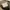 Coach Vintage Y2K Shoulder bag Wanita white cream photo 6