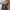 Louis Vuitton Vintage Y2K Crossbody Bag Wanita tan brown photo 3