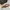 Louis Vuitton Vintage Y2K Crossbody Bag Wanita tan brown photo 2