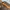 Louis Vuitton Vintage Y2K Crossbody Bag Wanita tan brown photo 5
