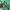 Pancoat Streetwear Indie Sweater Pria green photo 4