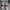 Nike Sportswear Sneakers Pria white photo 2