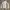Vintage Biker Harrington jacket Pria silver white photo 4