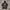 Oakley Y2K Avant Garde Hoody Pria black photo 2