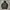 Oakley Y2K Avant Garde Hoody Pria black photo 1