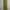Minimalist Wanita green pink photo 1