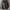 Pull & Bear Streetwear Y2K Bomber jacket Pria green gray photo 1