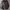 Pull & Bear Streetwear Y2K Bomber Jacket Pria Green Gray