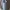 Pull & Bear Streetwear Y2K Bomber jacket Pria green gray photo 4