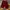Vintage Pria burgundy photo 1