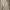 Vintage Pria cream photo 4