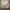 Vintage Pria cream photo 2