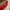 Vintage Casual Crossbody Bag Wanita red photo 3