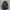 Oakley Gorpcore Bag Pria black photo 1