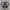 Oakley Gorpcore Bag Pria black photo 7