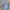 Nike Gorpcore Bag Pria blue photo 1