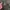 Osprey Gorpcore Bag Pria red photo 4