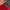 Osprey Gorpcore Bag Pria red photo 2