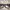 Vintage Glass Pria black photo 8