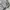 Lafudge Streetwear Gorpcore Harrington jacket Pria gray photo 5