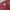 Cross Colours Vintage Streetwear Jeans Pria multicolor photo 7