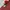 Cross Colours Vintage Streetwear Jeans Pria multicolor photo 8