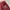 Cross Colours Vintage Streetwear Jeans Pria multicolor photo 5
