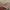 Salomon Streetwear Hat Pria tan photo 4