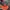New Era Sportswear Casual Hat Pria black orange photo 1